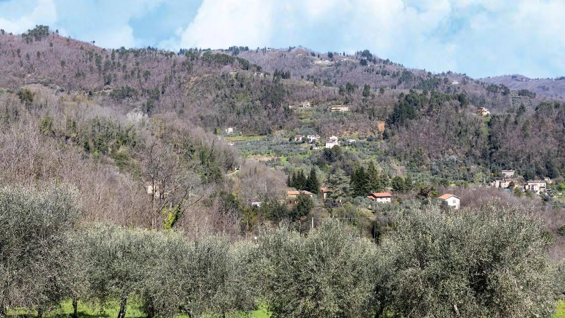 Cozy House In The Heart Of Tuscany Marliana 0*,