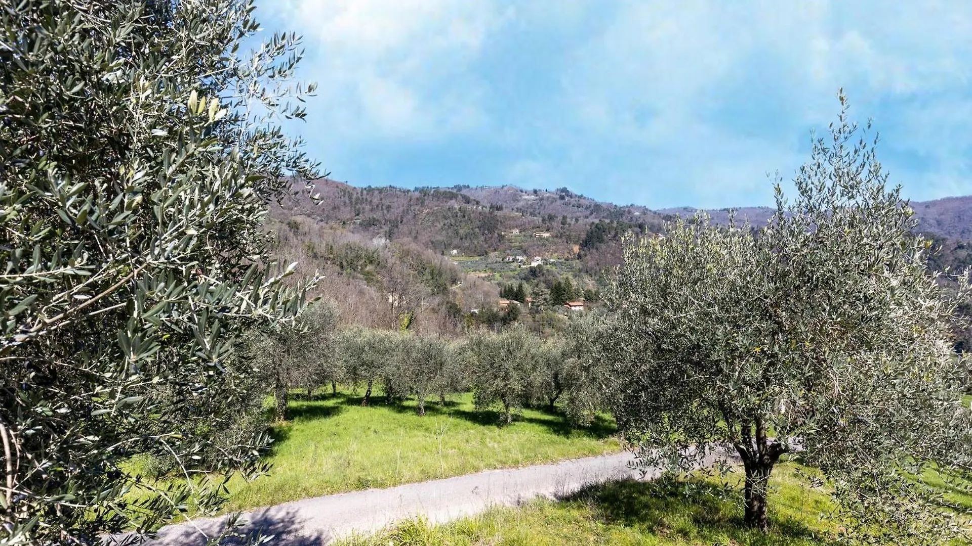 Holiday home Cozy House In The Heart Of Tuscany Marliana
